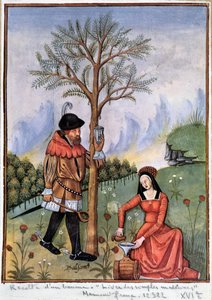 Å høste en balsam - Bok med enkle medisiner av Unknown artist