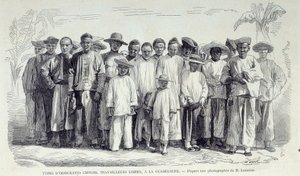 Historien om de franske koloniene: Kinesiske immigranter som jobber i Guadeloupe. Tegning etter fotografi av Chartres musee des Beaux Arts på slutten av 1800-tallet av Unknown artist