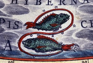Horoskop: dyrekretsens tegn, Fiskene. 1500-talls gravering. av Unknown artist
