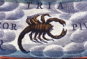 Horoskop: dyrekretsens tegn, skorpionen. av Unknown artist