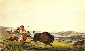 Jakt på bison i Nord-Amerika. sd. 1800-tallet. av Unknown artist