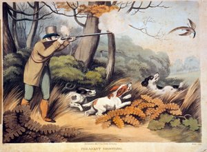 Jakt på fasaner i England. 1800-talls gravering. Gien, jaktmuseum av Unknown artist