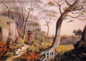 Jakt på fasaner i England. 1800-talls gravering. Gien, jaktmuseum av Unknown artist