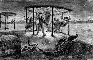 Illustrasjon «Naturforskeren ved Amazonas-elven» av Henry Walter Bates (gravering) av Unknown artist