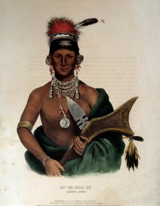 Indian of America: "" Portrett av en indisk sjef for Saukie Ap Pa Noo See"" Anonym litografi av 1836 La Rochelle, Musee du Nouveau Monde av Unknown artist