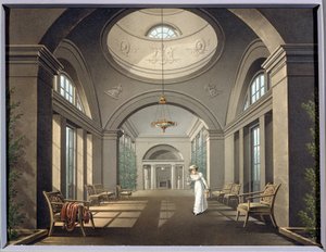 Interiør av volieren i Pavlovsk-palasset. Anonymt maleri. Akvarell og blekk, midten av 1800-tallet. Klassisisme. Statens friluftsmuseum Pavlovsk-palasset, St. Petersburg. av Unknown artist