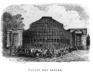 Jardin des Plantes i Paris i 1861: Apenes palass. av Unknown artist