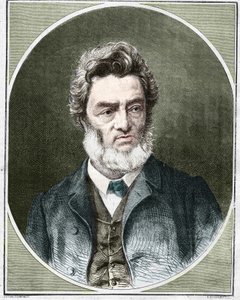 Jules Favre (1809-1880), French politician and lawyer. av Unknown artist