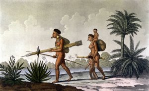 Kerengnatnuck, sjef for Botocudos, og hans familie (Brasil) - i "Det gamle og moderne kostymet"" av Ferrario, red. Milan av Unknown artist