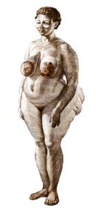 La Venus Hottentote, kvinne av rasen Bochiman (The Hottentot Venus,) gravering fra 1815. av Unknown artist