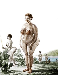 La Venus Hottentote, kvinne av rasen Bochiman (The Hottentot Venus,) gravering fra 1815. av Unknown artist