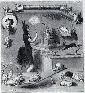 Les rabbits dresses du Nouveau Cirque i Paris: tukle i kaninkostyme som lærer dyret de forskjellige tallene. Gravering i "" La Nature"" 1890. Privat samling. av Unknown artist