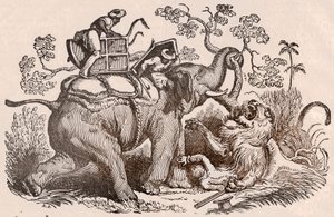 Løvejaktscene: jegeren, elefantens grav, er nå i løvens klør (gravering) av Unknown artist