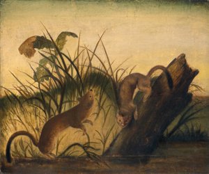Langhalevesel, ca. 1845 (olje på lerret) av Unknown Artist