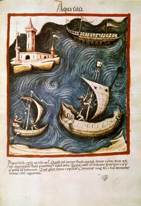 Medisinhandel: ""saltvann"" Side hentet fra ""Tacuinum sanitatis"" (Cod. ser. nov. 2644) Rundt 1400 Wien, Østerriksk nasjonalbibliotek av Unknown artist