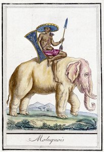 Molucquois mann på en elefant (Molukkene, Indonesia). av Unknown artist