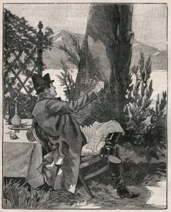 Napoleon Bonaparte (1769-1821) skrev ordet "Bataglia" på stammen til et laurbærtre på øya Isola Bella ved Lago Maggiore (Lago Maggiore), tre dager før slaget ved Marengo i 1800. Gravering fra 1885 i "" Les arts et metiers illustres” av Unknown artist