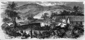 Ny-Caledonia - botsmannen på øya Nou - Gravering av 1870 av Unknown artist