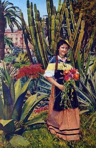 Nicoise. Postkort rundt 1930. Kommunearkivet i Nice. av Unknown Artist