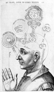 Fysiognomibilde (frenologi) fra The Collected Works of Robert Fludd (Robertus de Fludd). London 1617 av Unknown artist