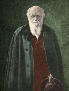Portrait of Charles Darwin (1809 - 1882) av Unknown artist