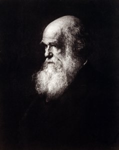 Portrett av Charles Robert Darwin (1809 - 1882) av Unknown artist