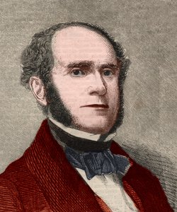 Portrett av Fitz-Greene (Fitz Greene) Halleck (1790-1867), amerikansk poet. Gravering i "" The illustrated London News "" av 23. januar 1858. av Unknown artist