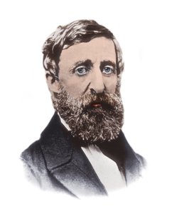 Portrett av Henry David Thoreau (1817-1862) - amerikansk essayist, poet, filosof, avskaffelsesmann, naturforsker, skattemotstander, utviklingskritiker, landmåler og historiker av Unknown artist