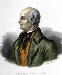 Portrett av Lazzaro Spalanzani (eller Spallanzani), italiensk biolog (1729 - 1799) av Unknown artist