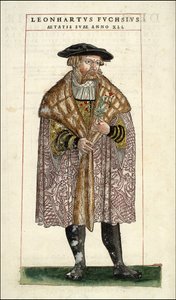 Portrait of Leonhart Fuchs: Botanist - German doctor (1501 - 1566) - in “” De Historia Stirpium commentarii badges,...” by Leonhart Fuchs av Unknown artist