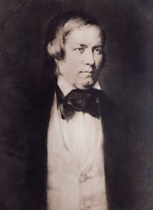 Portrett av Robert Schumann (gravering) av Unknown artist