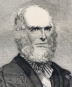 Portrett av William Cullen Bryant (1794-1878), amerikansk poet. Gravering i "" The illustrated London News "" av 23. januar 1858. av Unknown artist