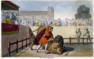 Pépin Le Brief slats a lion fighting a bull - engraving av Unknown artist