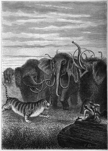 Prehistory: Mammoths and cat giant caves. Engraving from “Paris avant l