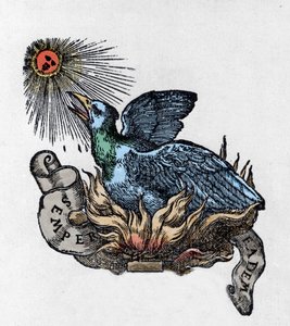 Representasjon av en Føniks (eller Føniks), legendarisk fugl, gjenfødt fra asken. Gravering fra 1800-tallet av Unknown artist