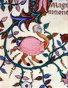 Representasjon av et monster med en strutsekropp og et menneskehode. Miniatyr av et manuskript fra 1300-tallet. Milan, Biblioteca Nazionale Braidense. av Unknown artist