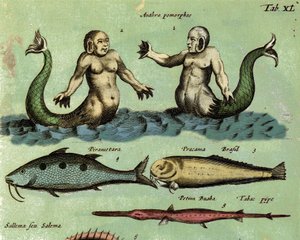 Representasjon av en sirene og en triton, en fantastisk marin skapning beskrevet i et zoologiatlas. Detalj. 17. århundre av Unknown artist
