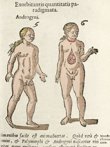 Representasjon av en androgyn og en hermafroditt. Tallerken hentet fra De natura Divinis caracteris"" av Cornelio Gemma 1575 av Unknown artist