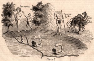 Representasjon av middelalderstammer og dyrearter: Monocules, Blemmys, Sciopodes og kameler av Unknown artist