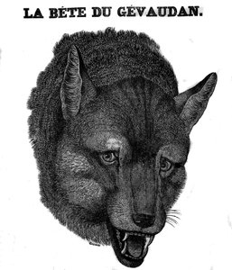 Representation of the Bete du Gevaudan. av Unknown artist