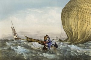 Rescue of the Habs ball, mounted by Mr. and Mrs. Durouf. Shipwrecked on the coast of England on September 1 av Unknown artist