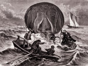 Rescue of the Habs ball, montert av Mr. and Mrs. Durouf. Forliste på kysten av England 1. september av Unknown artist