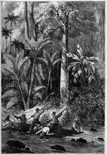 Veiutvikling i Mellom-Amerika: Piercing gjennom Isthmus of Panama. Flåte som går ned forløpet til Rama. Fra en tegning av en kaptein Bedford Pims ekspedisjonsoffiser. Gravering i "" The Illustrious Universe"" av Unknown artist