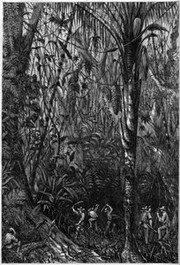 Veiutvikling i Mellom-Amerika: Boringen av den nicaraguanske veien gjennom en urskog (avskoging). Tegning av løytnant Olivier, medlem av kaptein Bedford Pims ekspedisjon (1826-1886). Gravering i "" The Illustrious Universe"" av Unknown artist