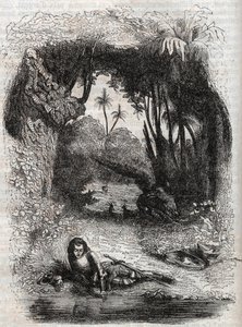 Ruggiero on the island of Alcina, - 1851 engraving from the poem Orlando furioso (1516) by Ludovico Ariosto, - Edition translated from Italian by the Count of Tressan and published by Gustave Harvard 1851 av Unknown artist