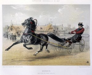 Russland: Orloff raser traver - i "" Kentauren"" 1867 av Unknown artist