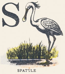 S: slikkepott av Unknown artist