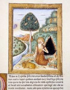 Saint Jerome - miniatyr av Unknown artist