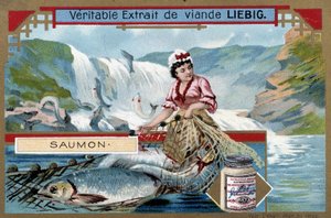 Laksefiske - kromo fra 1800-tallet. av Unknown artist
