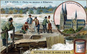 Laksefiske i Elfkarleby, Sverige. Kromolitografi, Liebig-bilde. av Unknown artist